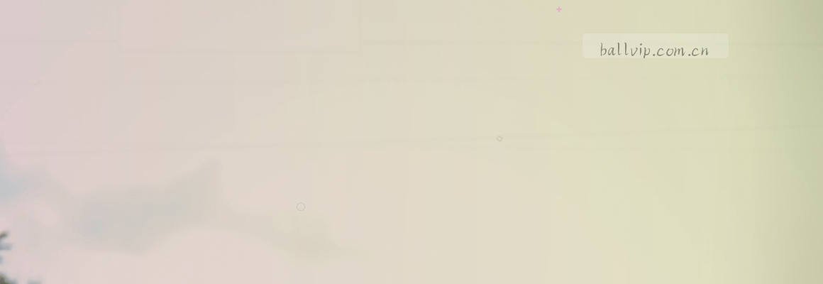 极简写手 首页横幅 代码与文字排版